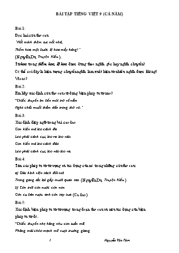 60 Bài tập ôn tập môn Ngữ văn Lớp 9 - Phần Tiếng Việt (Cả năm) - Nguyễn Văn Tám