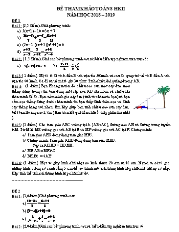 9 Đề tham khảo học kì II môn Toán Lớp 8 - Năm học 2018-2019