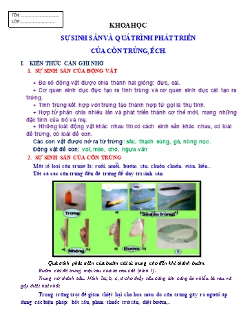 Bài dạy Khoa học + Địa lí + Lịch sử Lớp 5 - Tuần 28