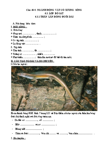 Bài dạy môn Sinh học Lớp 7 - Chủ đề 6: Ngành động vật có xương sống (Lớp bò sát)