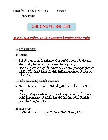 Bài dạy Sinh học Lớp 8 - Chương VII: Bài tiết - Bài 38 đến 40 - Trường THCS Bình Tây
