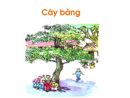 Bài giảng Chính tả Lớp 1 - Tuần 33, Bài: Cây bàng