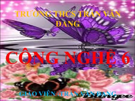 Bài giảng Công nghệ 6 - Bài 22: Quy trình tổ chức bữa ăn (Tiếp theo) - Trần Văn Đang