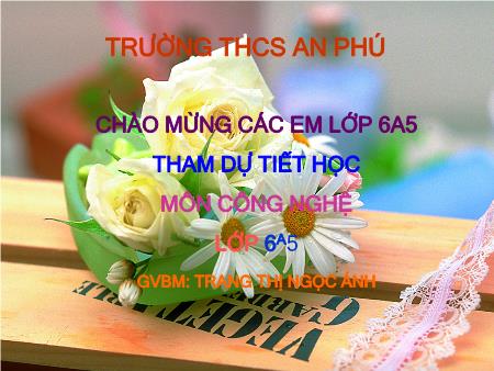 Bài giảng Công nghệ 6 - Tiết 43, Bài 15: Vệ sinh an toàn thực phẩm (Tiết 2) - Trang Thị Ngọc Ánh