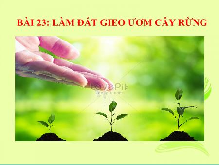 Bài giảng Công nghệ 7 - Bài 23: Làm đất gieo ươm cây rừng
