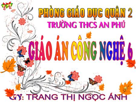 Bài giảng Công nghệ Lớp 6 - Tiết 2, Bài 18: Các phương pháp chế biến thực phẩm - Trang Thị Ngọc Ánh
