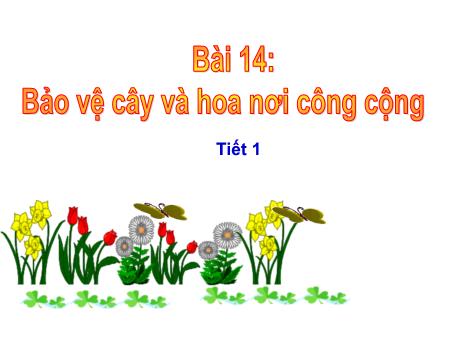 Bài giảng Đạo đức Lớp 1 - Tiết 1, Bài 14: Bảo vệ cây và hoa nơi công cộng