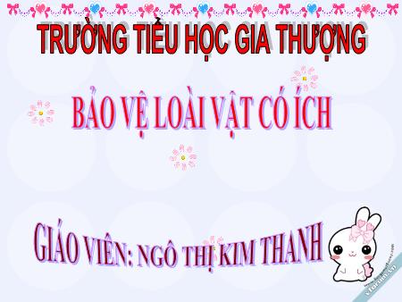 Bài giảng Đạo đức Lớp 2 - Tiết 1, Bài 14: Bảo vệ loài vật có ích - Ngô Thị Kim Thanh