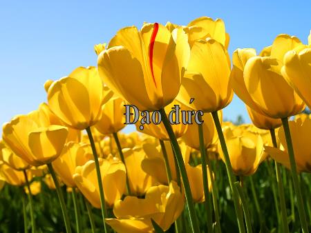 Bài giảng Đạo đức Lớp 4 - Tuần 3, Bài: Vượt khó trong học tập