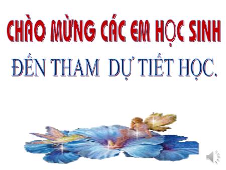 Bài giảng Giáo dục công dân 7 - Tiết 2, Bài 16: Quyền tự do tín ngưỡng và tôn giáo