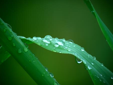 Bài giảng Giáo dục công dân Lớp 6 - Bài 15: Quyền và nghĩa vụ học tập (2 tiết)