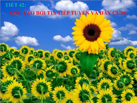 Bài giảng Hình học Lớp 9 - Tiết 42: Góc tạo bởi tia tiếp tuyến và dây cung