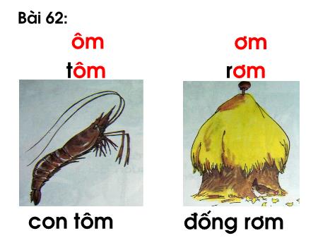 Bài giảng Học vần Lớp 1 - Tuần 15, Bài 62: Ôm, ơm