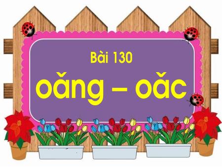 Bài giảng Học vần Lớp 1 - Tuần 25, Bài 130: Oăng, oăc