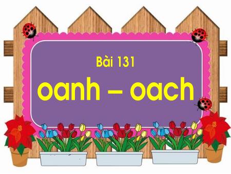 Bài giảng Học vần Lớp 1 - Tuần 25, Bài 131: Oanh, oach