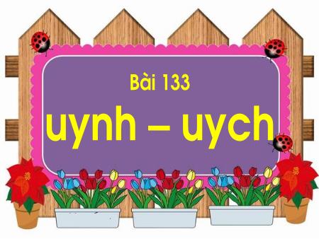 Bài giảng Học vần Lớp 1 - Tuần 25, Bài 133: Uynh, uych