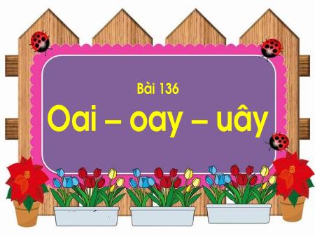 Bài giảng Học vần Lớp 1 - Tuần 25, Bài 136: Oai, oay, uây