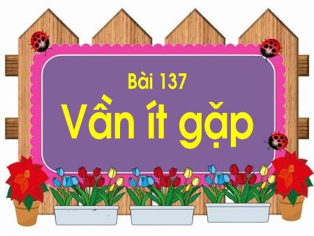 Bài giảng Học vần Lớp 1 - Tuần 26, Bài 137: Vần ít gặp