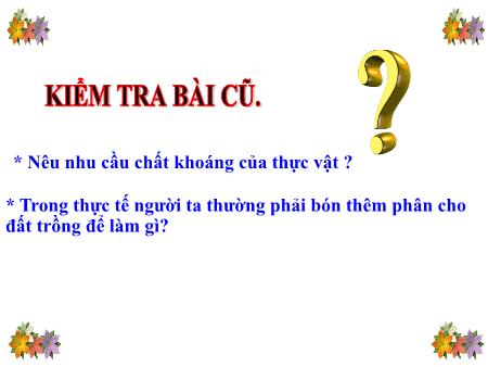 Bài giảng Khoa học Lớp 4 - Bài 60: Nhu cầu không khí của thực vật