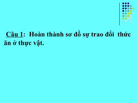 Bài giảng Khoa học Lớp 4 - Bài 62: Động vật cần gì để sống