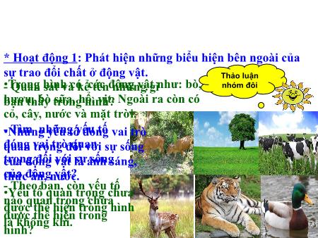Bài giảng Khoa học Lớp 4 - Bài 64: Trao đổi chất ở động vật