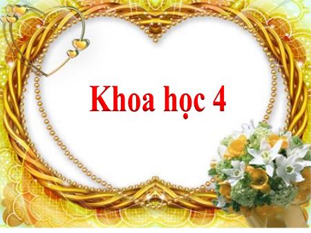 Bài giảng Khoa học Lớp 4 - Bài: Tại sao cần ăn phối hợp đạm động vật và đạm thực vật