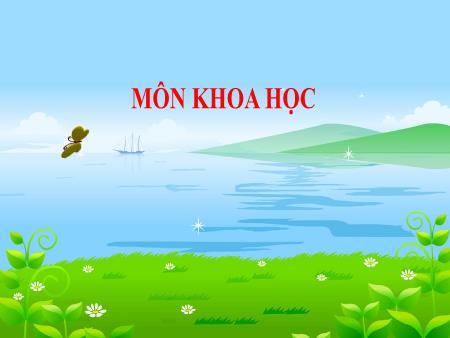 Bài giảng Khoa học Lớp 4 - Tuần 1, Bài 2: Trao đổi chất ở người