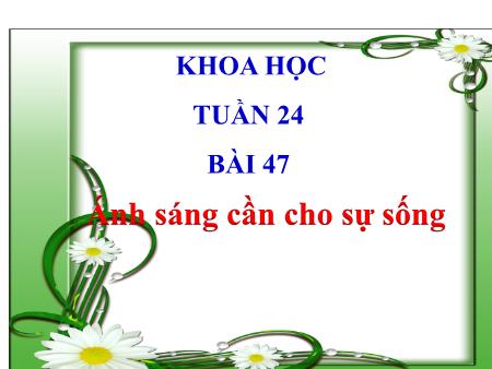 Bài giảng Khoa học Lớp 4 - Tuần 24, Bài 47: Ánh sáng cần cho sự sống