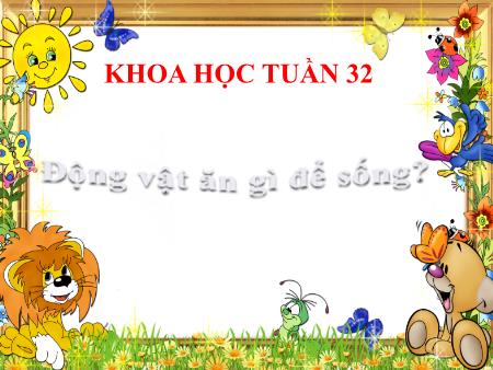 Bài giảng Khoa học Lớp 4 - Tuần 32, Bài 63: Động vật ăn gì để sống
