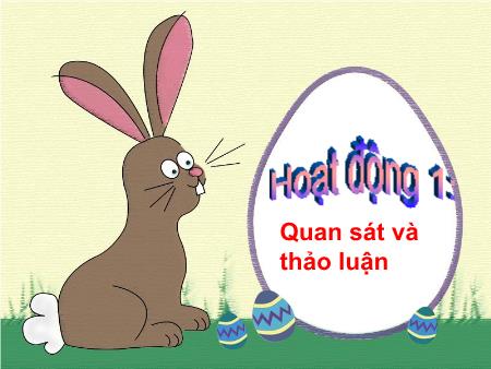 Bài giảng Khoa học Lớp 5 - Bài 18: Phòng tránh bị xâm hại