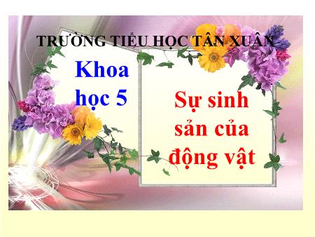 Bài giảng Khoa học Lớp 5 - Bài 55: Sự sinh sản của động vật - Năm học 2019-2020 - Trường Tiểu học Tân Xuân
