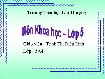 Bài giảng Khoa học Lớp 5 - Bài 56: Sự sinh sản của côn trùng - Trịnh Thị Diệu Linh