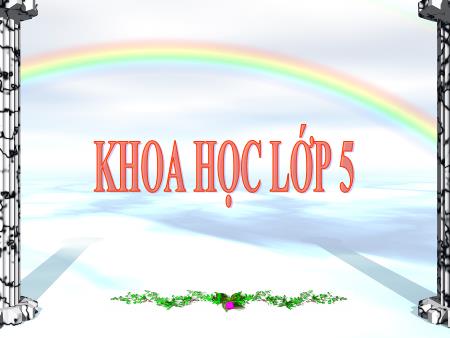Bài giảng Khoa học Lớp 5 - Tuần 14, Bài 27: Gốm xây dựng Gạch, ngói