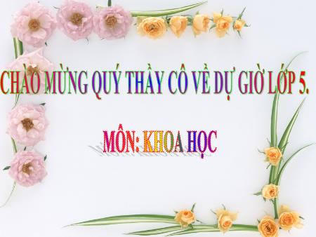 Bài giảng Khoa học Lớp 5 - Tuần 14, Bài 28: Xi măng