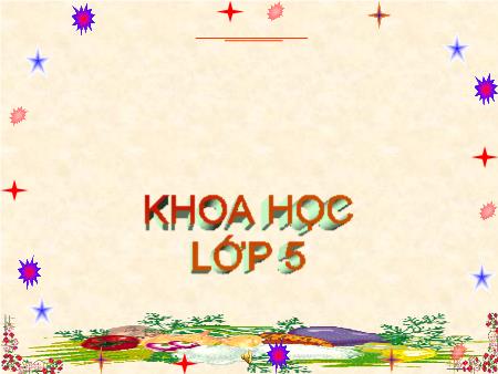 Bài giảng Khoa học Lớp 5 - Tuần 16, Bài: Chất dẻo