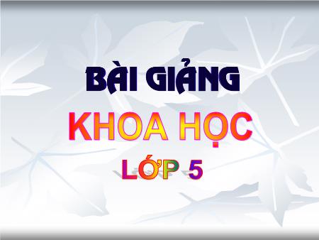 Bài giảng Khoa học Lớp 5 - Tuần 19, Bài: Dung dịch
