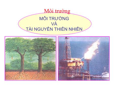 Bài giảng Khoa học Lớp 5 - Tuần 31, Bài: Môi trường Bài giảng Khoa học Lớp 5 - Tuần 31, Bài: Môi trường