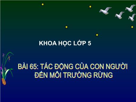 Bài giảng Khoa học Lớp 5 - Tuần 33, Bài 65: Tác động của con người đến môi trường rừng