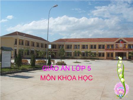 Bài giảng Khoa học Lớp 5 - Tuần 34, Bài 68: Một số biện pháp bảo vệ môi trường Bài giảng Khoa học Lớp 5 - Tuần 34, Bài 68: Một số biện pháp bảo vệ môi trường