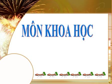 Bài giảng Khoa học Lớp 5 - Tuần 7, Bài: Phòng bệnh sốt xuất huyết