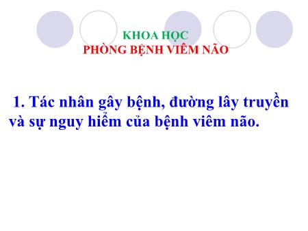Bài giảng Khoa học Lớp 5 - Tuần 7, Bài: Phòng bệnh viêm não