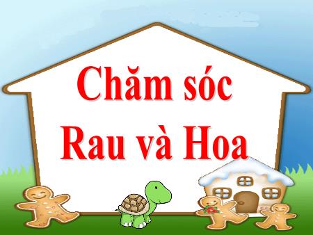 Bài giảng Kĩ thuật Lớp 4 - Bài 13: Chăm sóc rau, hoa