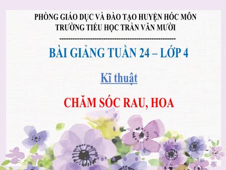 Bài giảng Kĩ thuật Lớp 4 - Tuần 24, Bài: Chăm sóc rau, hoa - Trường Tiểu học Trần Văn Mười