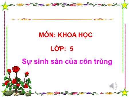 Bài giảng môn Khoa học Lớp 5 - Bài 56: Sự sinh sản của côn trùng