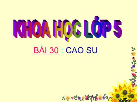 Bài giảng môn Khoa học Lớp 5 - Tuần 15, Bài 30: Cao su
