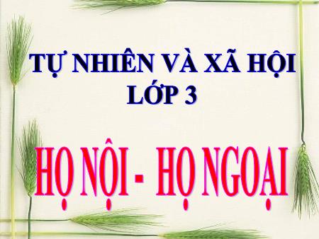 Bài giảng môn Tự nhiên và xã hội Lớp 3 - Bài 20: Họ nội, họ ngoại