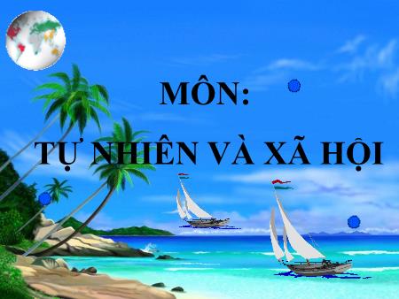 Bài giảng môn Tự nhiên và xã hội Lớp 3 - Bài 23: Phòng cháy khi ở nhà