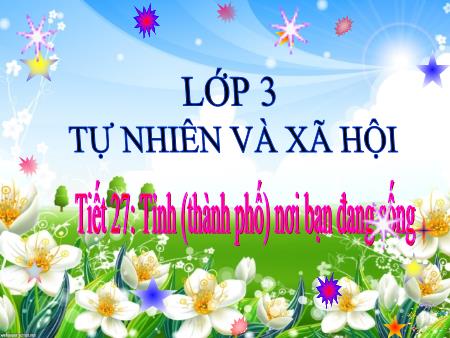 Bài giảng môn Tự nhiên và xã hội Lớp 3 - Tiết 27, Bài 27+28: Tỉnh (thành phố) nơi bạn đang sống