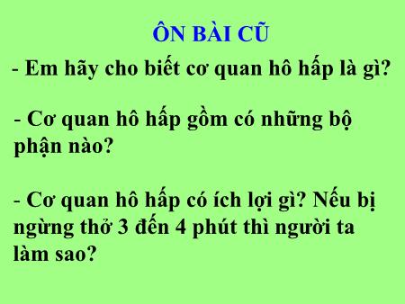 Bài giảng môn Tự nhiên và xã hội Lớp 3 - Tuần 1, Bài: Nên thở như thế nào - Trường Tiểu học Gia Thượng