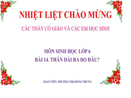 Bài giảng Sinh học Lớp 6 - Bài 14: Thân dài ra do đâu - Trương Thị Hồng Nhung
